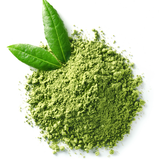 Como Armazenar Matcha Corretamente Para Manter a Qualidade